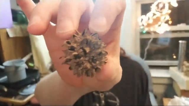 Witch Burr Spells! How Do I Do That? & Unboxing the Gorgeous Kickstarter Backed Druid Wisdom Oracle смотреть онлайн