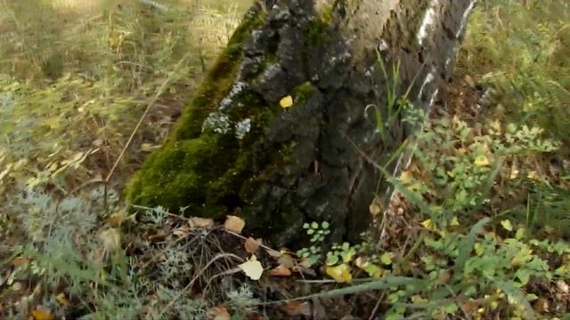 Как Сделать Креативно