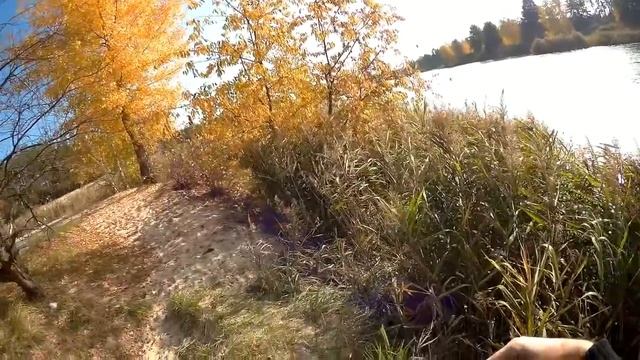 Рибалка в Жовтні на обводном! Жор окуня! смотреть онлайн
