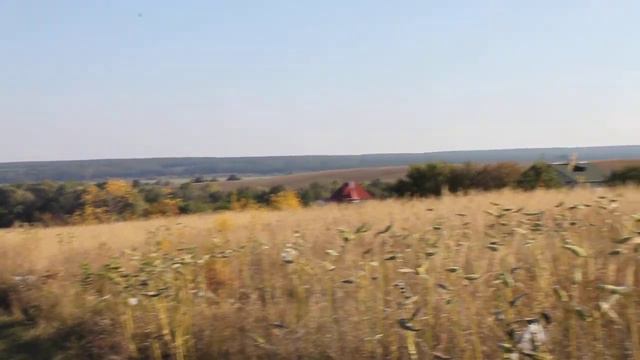 Осінні краєвиди. смотреть онлайн