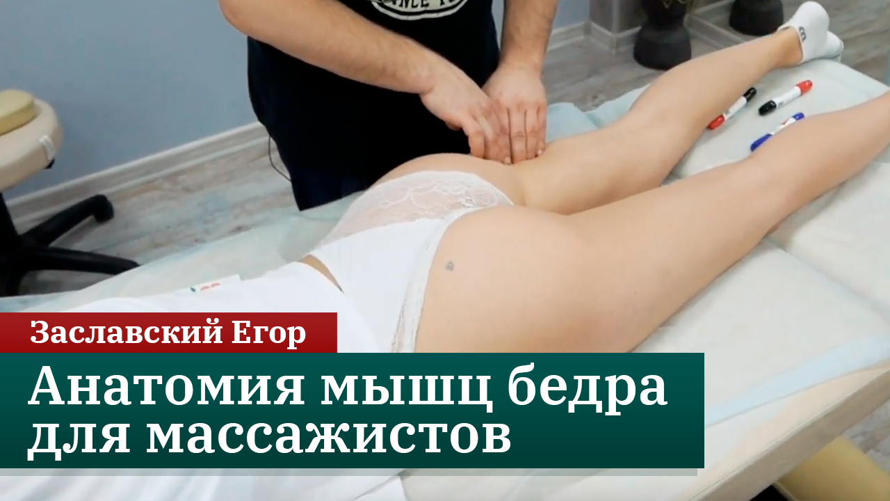Анатомия мышц бедра для массажистов. Заславский Егор смотреть онлайн