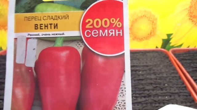 ЗАКАНЧИВАЮ ПОСЕВЫ РАННИХ СОРТОВ ПЕРЦА. Ольга Чернова. смотреть онлайн