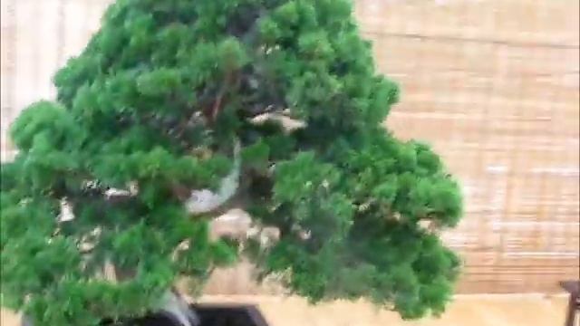 Природа в миниатюре смотреть онлайн