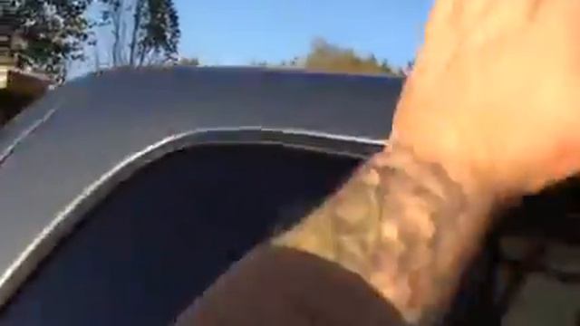 Питбули лазят по пикапу смотреть онлайн