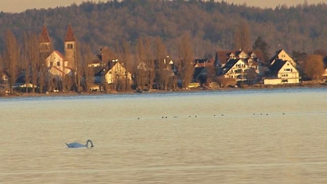 F 29 -Осенние пейзажи Bodensee HD смотреть онлайн