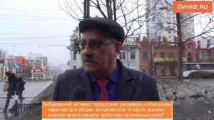 Хабаровчане рассказали как решить проблему загаженных собаками улиц - опрос