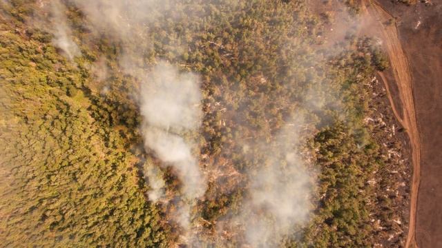 Тут солнце не горит и птицы не летают смотреть онлайн
