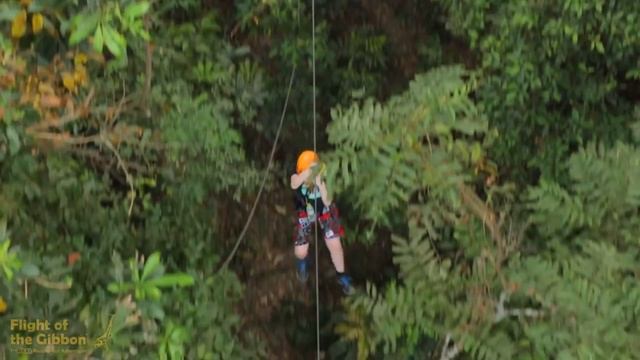 Экскурсия полет Гиббона в Паттайе Flight of the Gibbon смотреть онлайн