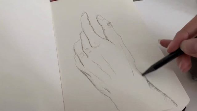 Hand Anatomy Sketch смотреть онлайн