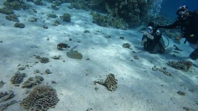 Египет Хургада Погружение с Sinaistar 6 видео смотреть онлайн