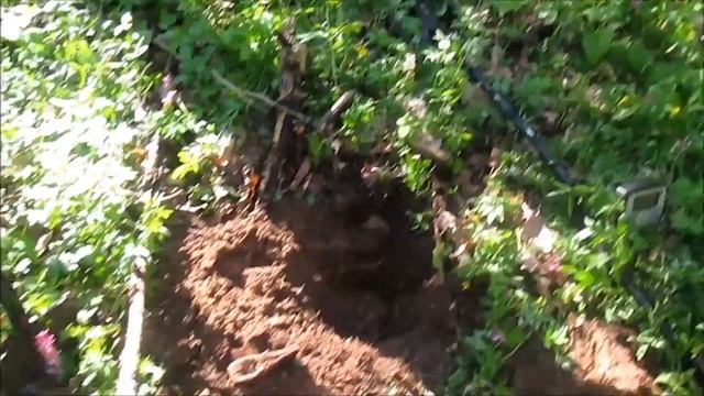 Коп в старом лесу открытие сезона 2017 и приятные находки