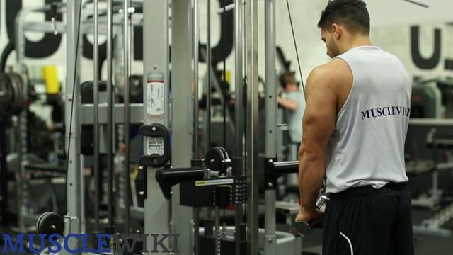 Tricep Pull Downs Back