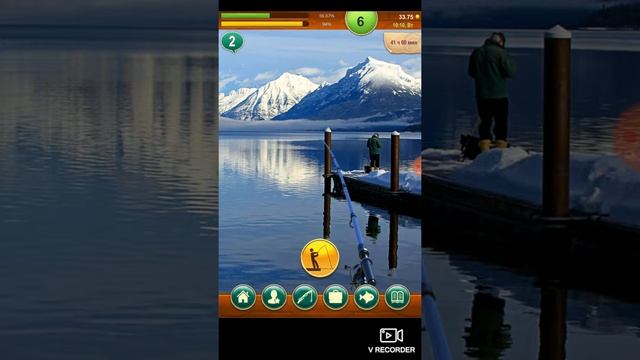 Крупный налим