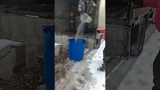 Запуск форели в Рыболовном клубе Исканское 19.01.2018 смотреть онлайн