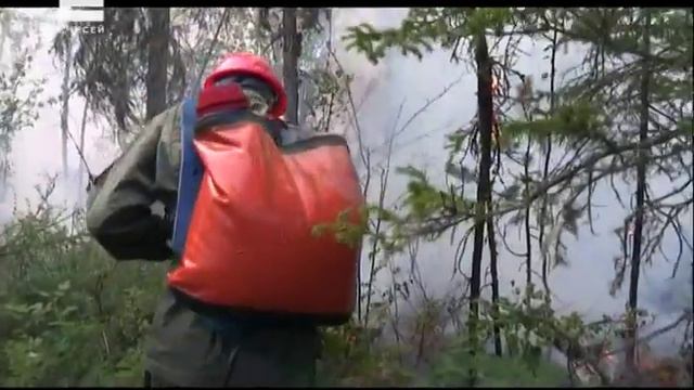 На борьбу с лесными пожарами в Красноярском крае прибыли еще 93 пожарных-десантника смотреть онлайн