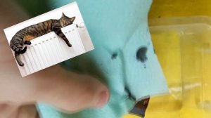 Как восстановить засохший картридж / Промывка и чистка картриджа для струйного принтера