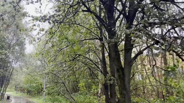 Дочка, врачи тебе не помогут, езжай в хоспис, а квартиру перепиши на племянника. Истории из жизни. смотреть онлайн