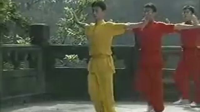 Wushu Basic Training (English)