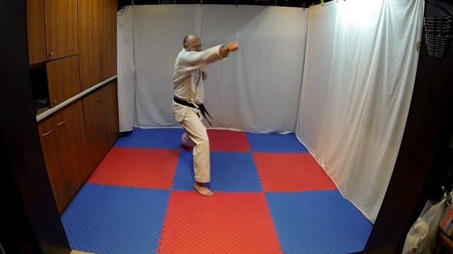 Akiyama karate : online training 8 - 20/11/2020 смотреть онлайн