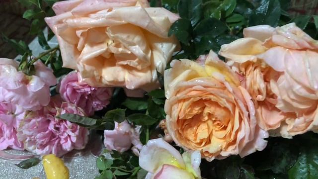 Розы цветут в Ноябре . Букет роз для Вас . #bouquet #roses #garden #розы смотреть онлайн