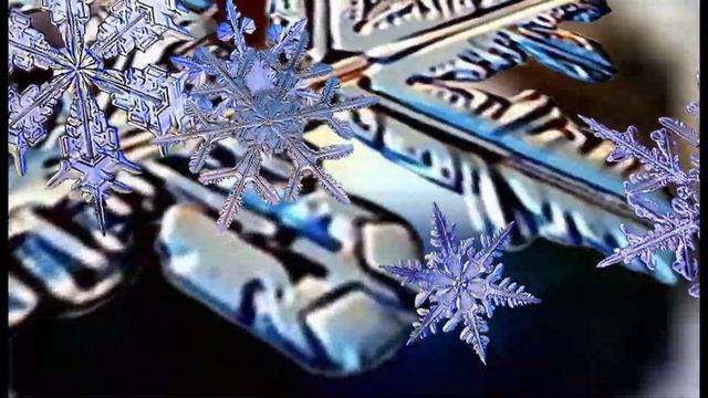 Футаж Снежинки под микроскопом Footage Snowflakes under a microscope 000784 смотреть онлайн