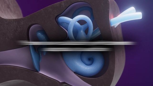 Cómo Denon PerL y PerL Pro te entregan un audio personalizado usando Masimo AAT смотреть онлайн