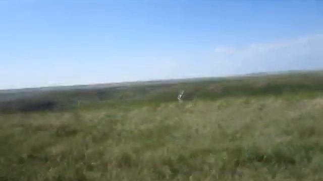 Поездка по Кувандыкскому району Оренбургской области, раньше было село Красная Заря. смотреть онлайн