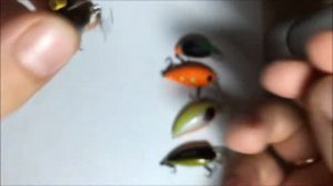 ТОП 10 КРЕНКОВ НА ГОЛАВЛЯ