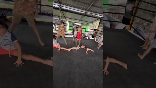 Тренируются неделю а половина седи на шпагат. смотреть онлайн