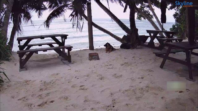 Сейшельские острова - Анс Парнел Такамака