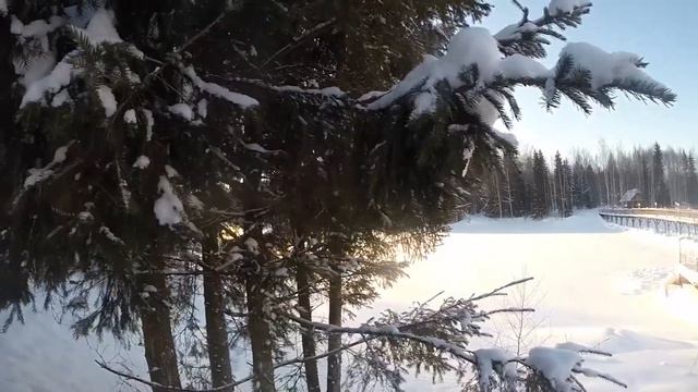 Эй, бро... смотреть онлайн