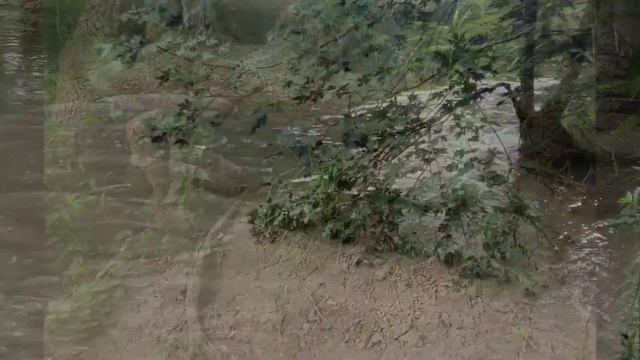 #waterworks смотреть онлайн