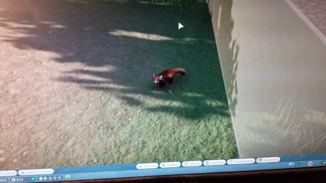Red Panda escape glitch! -Plant Zoo смотреть онлайн