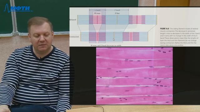 Биоорганическая и биологическая химия, Куликов Е.Е., 18.11.20 смотреть онлайн