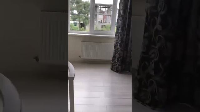 Коттедж под ключ в Геленджике (Сосновка) до 8 человек, бассейн, мангал, баня, парковка смотреть онлайн