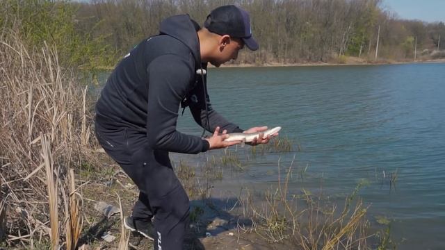 ВОБЛЕР или СИЛИКОН? Ловля щуки на спиннинг! Спиннинговые баттлы + КОНКУРС смотреть онлайн