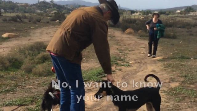 Mary Harris - Irresponsible Woman Who Unleashes Dog She Can't Catch & Lies About Name смотреть онлайн