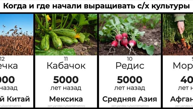 Какие с/х культуры являются самыми древними и в каких странах их впервые стали выращивать? смотреть онлайн