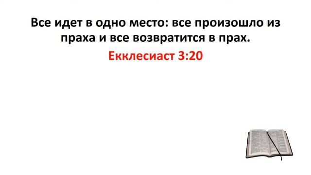 Библия, Ветхий Завет. Екклесиаст 3:20 смотреть онлайн