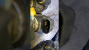 ЕСЛИ ПИЩИТ ГБО 4 ШТО ДЕЛАТЬ СМОТРИМ