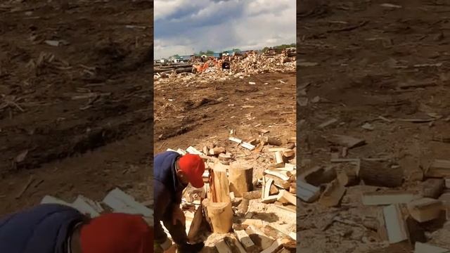 Москва Алексеевский район смотреть онлайн