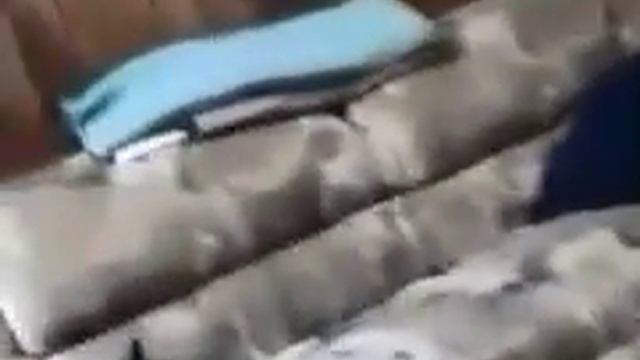 «Страшнее кота зверя нету» смотреть онлайн