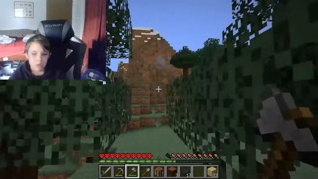 Minecraft Java Stream!!! смотреть онлайн