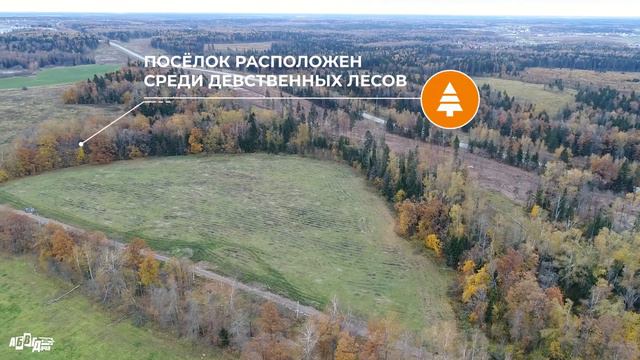 Бортневские Дачи смотреть онлайн