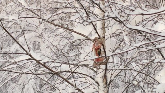 Корм для синиц смотреть онлайн