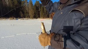 Щука на вибы . Зимняя рыбалка , сезон 22-23.