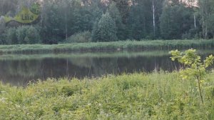 Как узнать водится ли в водоеме карась? Как понять водится ли в пруду карась?