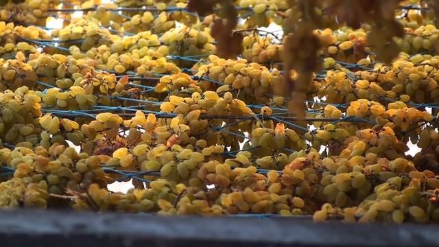Raisins production process смотреть онлайн