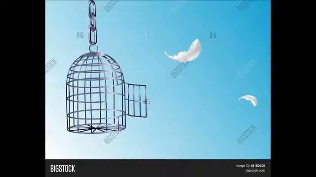 Улетела канарейка смотреть онлайн