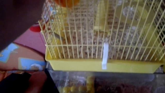 Уборка у песчанок после съёмок СКАЗКИ! Ждите скоро сказку! смотреть онлайн